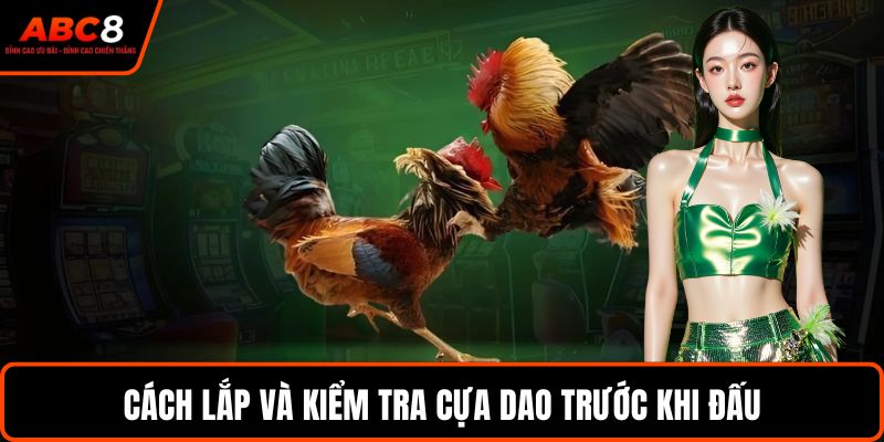 Cách lắp và kiểm tra cựa dao trước khi đấu