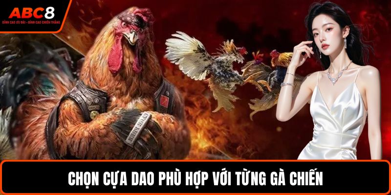 Chọn cựa dao phù hợp với từng gà chiến