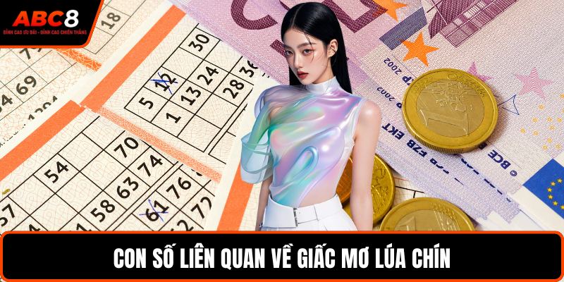 Con số liên quan về giấc mơ lúa chín