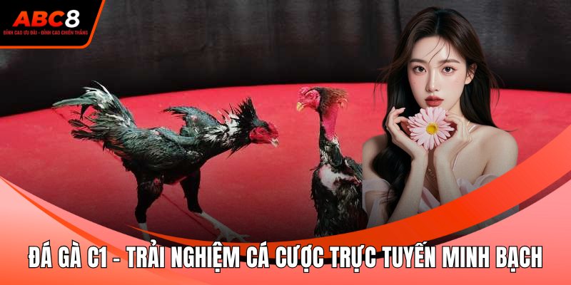 Đá Gà C1 - Trải Nghiệm Cá Cược Trực Tuyến Minh Bạch