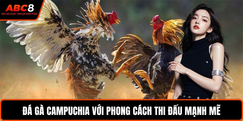 Đá gà Campuchia với phong cách thi đấu mạnh mẽ
