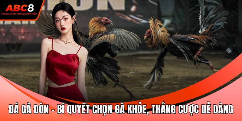 Đá Gà Đòn - Bí Quyết Chọn Gà Khỏe, Thắng Cược Dễ Dàng