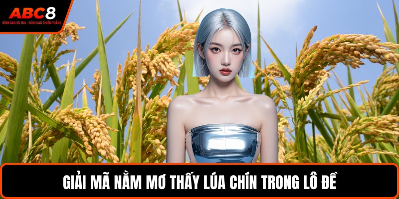 Giải mã nằm mơ thấy lúa chín trong lô đề