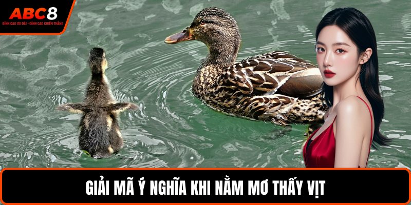 Giải mã ý nghĩa khi nằm mơ thấy vịt