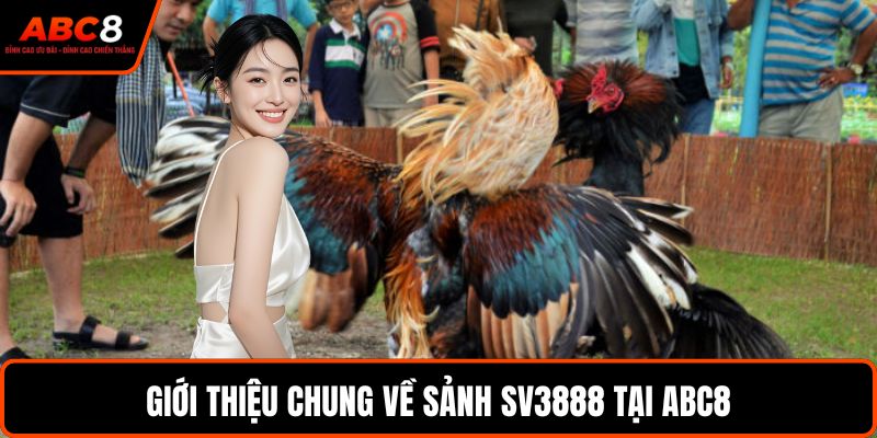 Giới thiệu chung về sảnh SV3888 tại ABC8