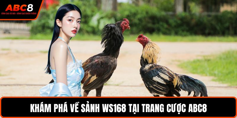 Khám phá về sảnh WS168 tại trang cược ABC8