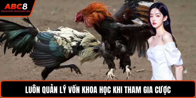 Luôn quản lý vốn khoa học khi tham gia cược