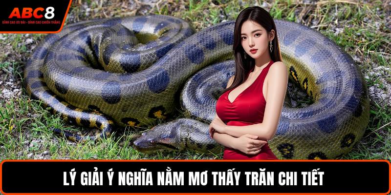 Lý giải ý nghĩa nằm mơ thấy trăn chi tiết