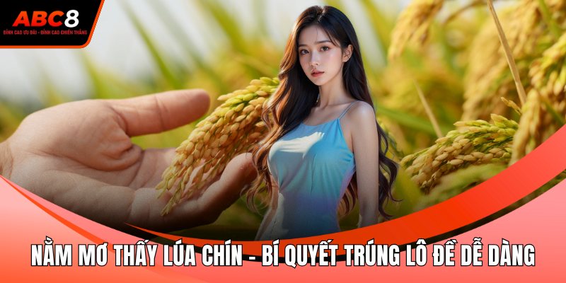 Nằm Mơ Thấy Lúa Chín - Bí Quyết Trúng Lô Đề Dễ Dàng
