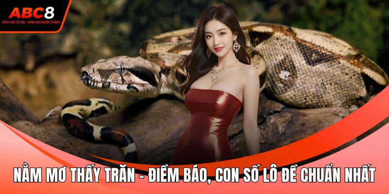 Nằm Mơ Thấy Trăn - Điềm Báo, Con Số Lô Đề Chuẩn Nhất