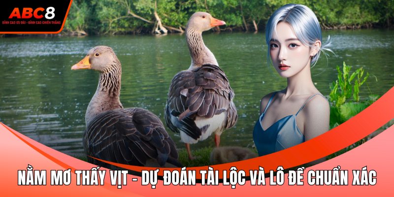 Nằm Mơ Thấy Vịt - Dự Đoán Tài Lộc Và Lô Đề Chuẩn Xác