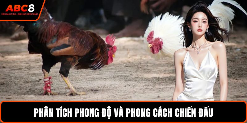 Phân tích phong độ và phong cách chiến đấu