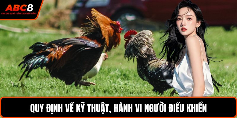 Quy định về kỹ thuật, hành vi người điều khiển