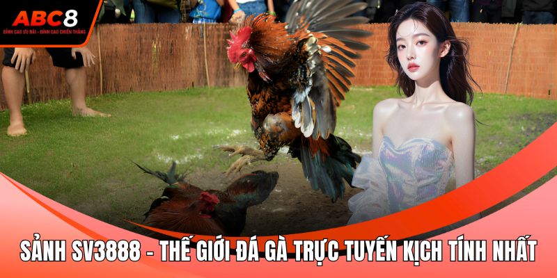 Sảnh SV3888 - Thế Giới Đá Gà Trực Tuyến Kịch Tính Nhất