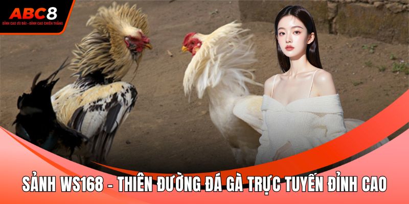 Sảnh WS168 - Thiên Đường Đá Gà Trực Tuyến Đỉnh Cao