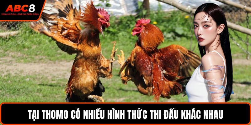Tại Thomo có nhiều hình thức thi đấu khác nhau