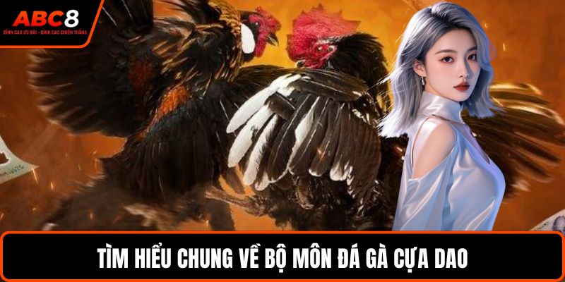 Tìm hiểu chung về bộ môn đá gà cựa dao