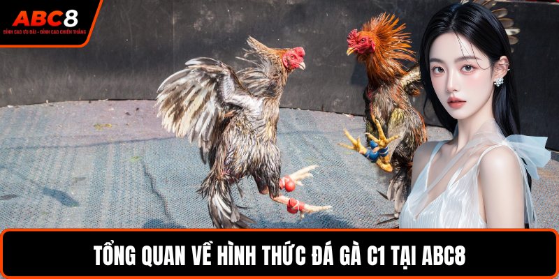 Tổng quan về hình thức đá gà C1 tại ABC8