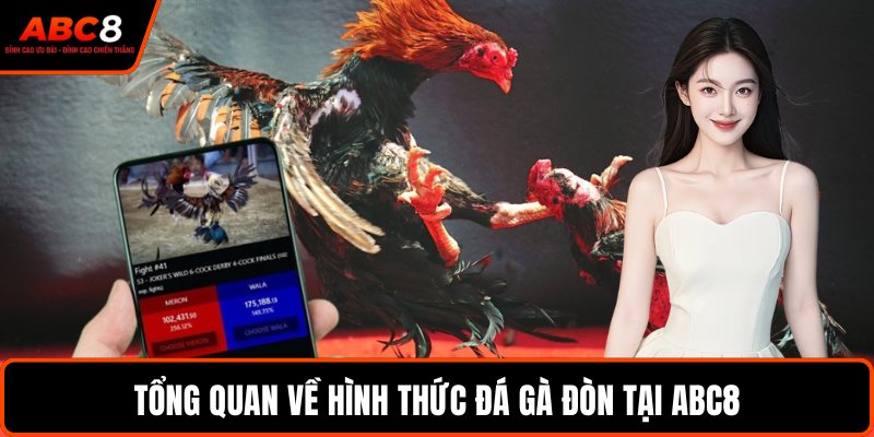 Tổng quan về hình thức đá gà đòn tại ABC8