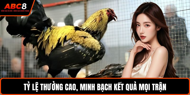 Tỷ lệ thưởng cao, minh bạch kết quả mọi trận