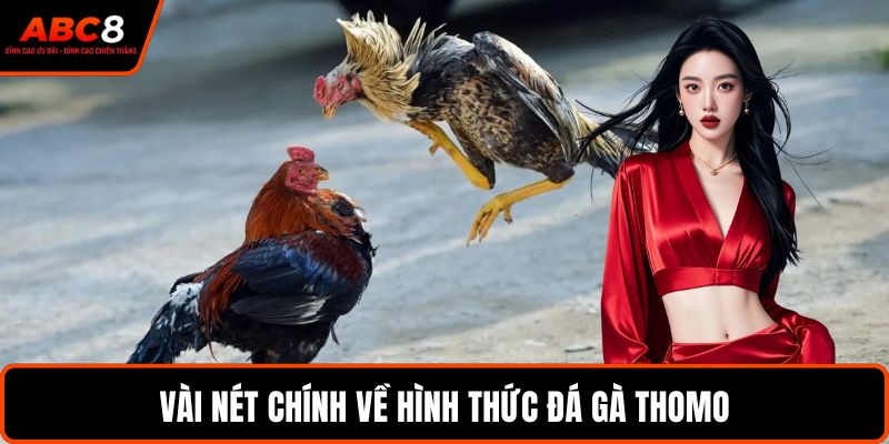 Vài nét chính về hình thức đá gà Thomo
